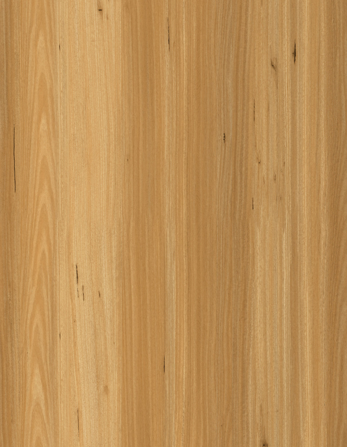 7.5mm Blackbutt SPC Hybrid Flooring – 1.4m² per Box